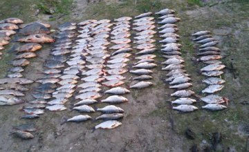 В Днепре браконьеры выловили рыбу на сумму более 12 тыс. грн 