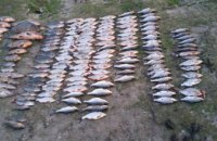 В Днепре браконьеры выловили рыбу на сумму более 12 тыс. грн 