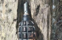 В Днепре на детской площадке обнаружили гранату 