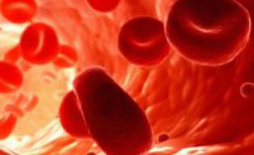 Шотландские ученые научились создавать искусственную кровь из стволовых клеток