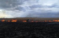 С начала года на Днепропетровщине произошло более 600 пожаров в экосистемах