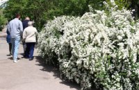 «Дніпро_квітучий»: дніпряни показали, як прижилися дерева, які вони висадили торік у рамках акції