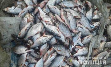 На Днепровском водохранилище браконьеры выловили более 100 рыбин