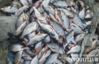 На Днепровском водохранилище браконьеры выловили более 100 рыбин