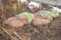В Крыму браконьеры наловили более 100 кг креветок и около 60 кг бычка
