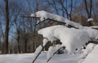 Снег в Украине выпадет 11-13 ноября 