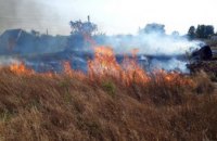 В Никополе бойцы ГСЧС ликвидировали пожар в экосистемах