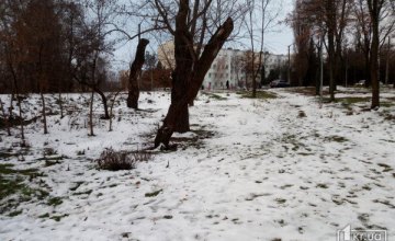В Днепропетровской области возле роддома нашли мертвого мужчину 