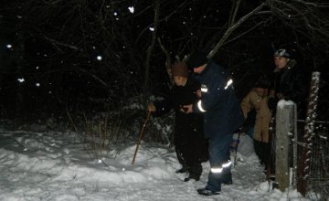 В Каменском спасатели помогли пожилой паре выбраться из снежной ловушки 