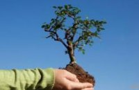 После стихии в Днепре инициировали акцию «Посади дерево - спаси город»