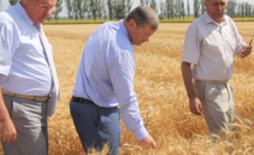 Хозяйства Днепропетровской области начинают формировать региональный ресурс зерна