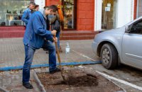 Вже 400 дерев висадили в місті співробітники Інспекції з питань контролю за паркуванням у рамках декадника # Дніпро_квітучий