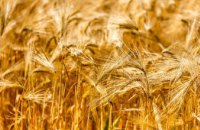 У Юр’ївській громаді зібрали вже понад 60% врожаю зернових