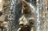 Сегодня отмечается Всемирный день защиты слонов