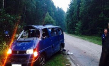 В Черниговской области в результате крупного ДТП погибло два человека