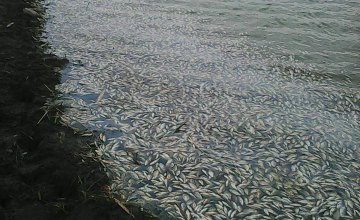 ​В одном из притоков Самары произошел замор рыбы: на берег вынесло более 1,5 тонны карасей