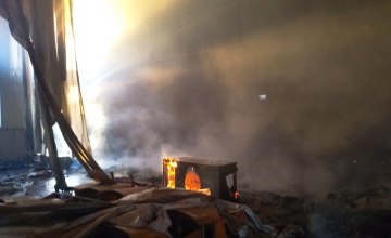На Днепропетровщине сгорело неэксплуатируемое помещение: огонь уничтожил 300 м кв.