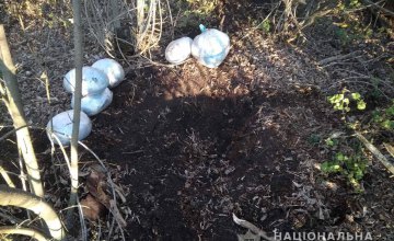 На Днепропетровщине мужчина пытался закопать в лесу 13 кг наркотиков