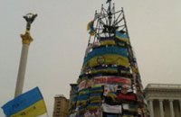 Главную елку Украины в этом году устанавливать не будут