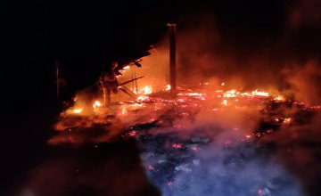 Спасатели ликвидировали пожар в хозяйственной постройке Новомосковского района