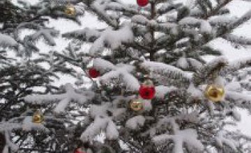 25 декабря в парке им. Лазаря Глобы откроется главная елка Днепропетровска