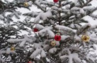 25 декабря в парке им. Лазаря Глобы откроется главная елка Днепропетровска