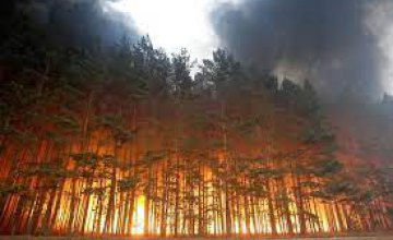 С начала года  на Днепропетровщине произошло 16 лесных пожаров