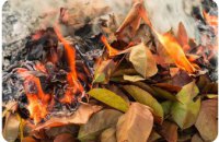 Дніпропетровська філія «Газмережі»: спалювати опале листя біля газопроводів небезпечно для життя