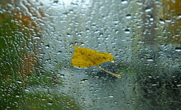 Ветер, дожди и грозы: какая погода ожидается на Днепропетровщине в последние дни сентября 