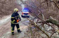 Непогода в Днепре: спасатели убирают поваленные деревья (ФОТО)
