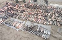 В Каменском задержали браконьеров, выловивших почти 500 кг рыбы и раков