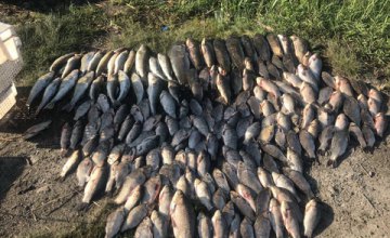 За один день браконьеры в Днепропетровской области нанесли ущерб на более чем 20 тыс. гривен