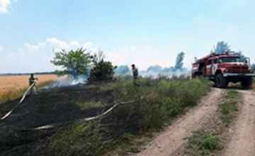 В Пятихатском районе спасатели предотвратили пожар на пшеничном поле