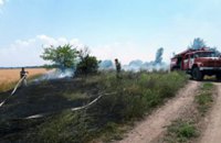 В Пятихатском районе спасатели предотвратили пожар на пшеничном поле