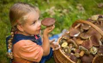 С начала года в Днепропетровской области 29 человек отравились грибами
