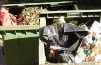 В Одессе в мусорном баке нашли гранаты и автомат Калашникова (ФОТО)