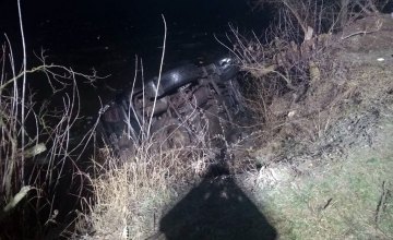 На Днепропетровщине Тойота съехала в пруд: погибли 4 человека 