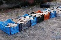 В Запорожской области два браконьєра незаконно выловили рыбы на сумму более 45 тыс. грн (ФОТО, ВИДЕО)