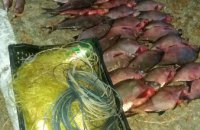 В Днепропетровской области за незаконный вылов рыбы на водохранилище задержали мужчину (ФОТО)