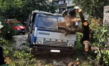 В Днепре  дерево рухнуло на КамАЗ:  повреждена кабина