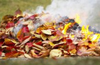Мешканцям Дніпропетровщини нагадали про заборону випалювання сухостою та опалого листя