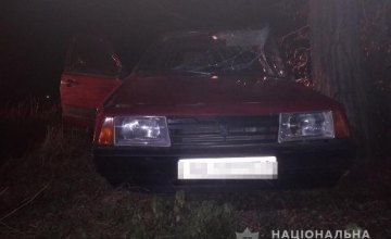 На Днепропетровщине двое парней угнали автомобиль и разбили его (ФОТО)