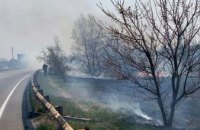 В Днепре спасатели ликвидировали пожар в экосистеме
