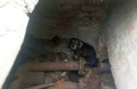 В Днепропетровской области щенок упал в 2,5-метровый колодец