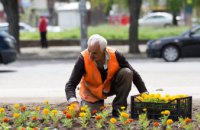 Відновлення квітників: у парках Дніпра висадять близько 45 тисяч квітів 