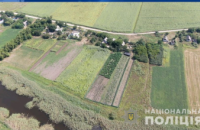 В Днепропетровской области обнаружили поле конопли на более чем 11 миллионов гривен