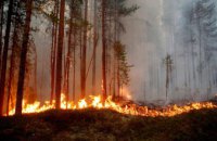Із початку літа на Дніпропетровщині 68 разів горіли ліси
