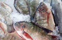 Риба та морепродукти більше не доступні для продажу на ринках Дніпропетровської області