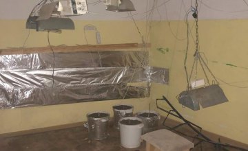 В Днепропетровской области обнаружили плантацию конопли  на мебельной фабрике