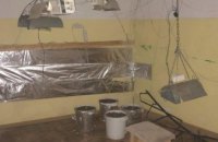 В Днепропетровской области обнаружили плантацию конопли  на мебельной фабрике